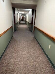 Wilkinson Woods - before